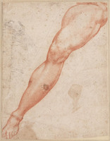 K 051
<br/>
Linkerbeen van een man, gestrekt; karikatuurkoppen
<br/>
<em>Anoniem It, Toscane (16de eeuw)</em>